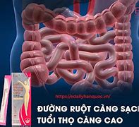 Cách Uống Thải Độc Ruột Hàn Quốc